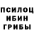 Псилоцибиновые грибы GOLDEN TEACHER Liem Le