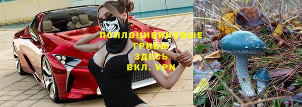 спайс Алексеевка
