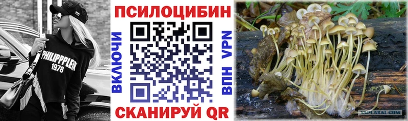 Галлюциногенные грибы Psilocybe  Кочубеевское 